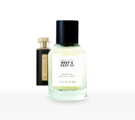 Reef 33 Edp